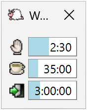 Timer Window